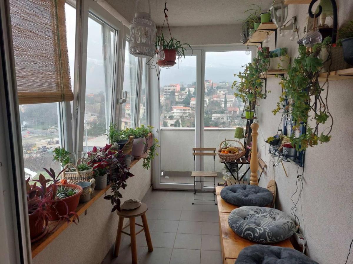 Apartments Franny Novi Vinodolski Dış mekan fotoğraf