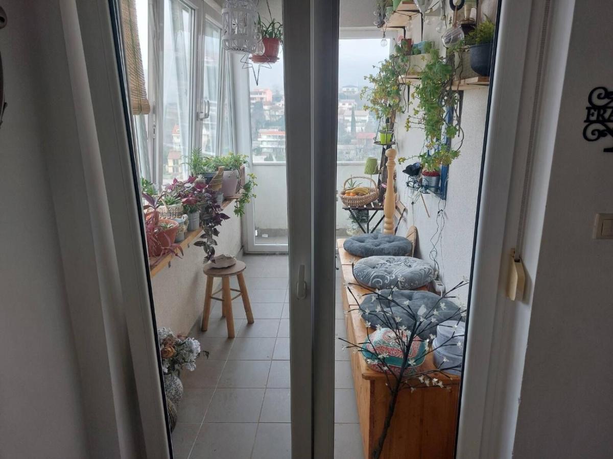 Apartments Franny Novi Vinodolski Dış mekan fotoğraf